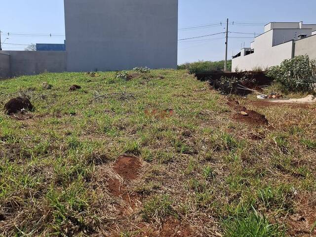 #BTE838 - Terreno para Venda em Boituva - SP - 2