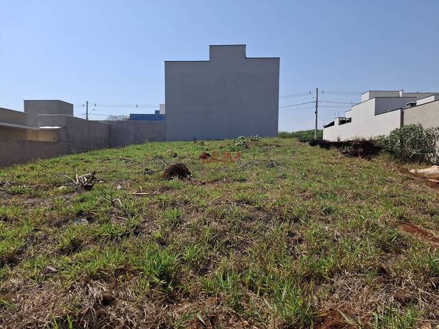 #BTE838 - Terreno para Venda em Boituva - SP - 3